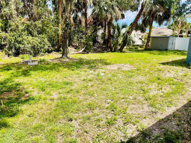 Back Yard