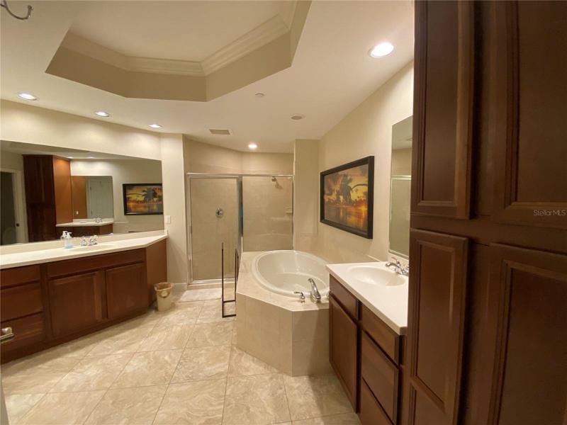 Master bath, with tub and shower