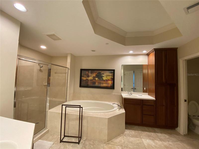 Master bath, with tub and shower