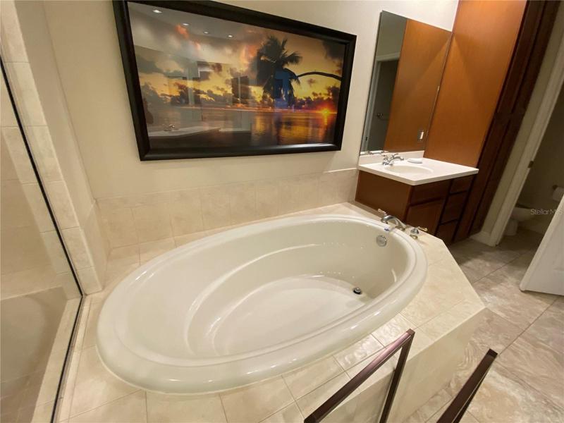 Master bath, with tub and shower