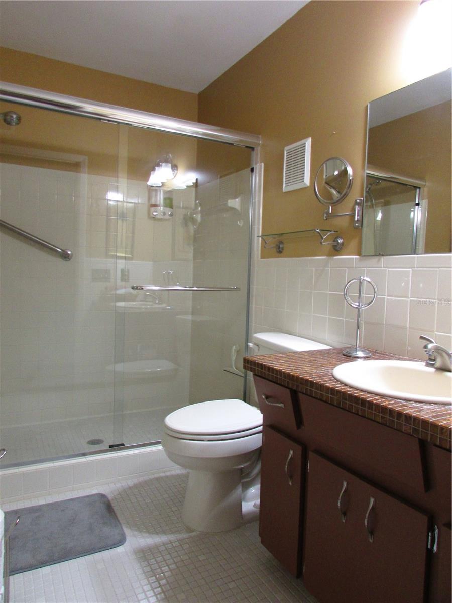 Shower in the Primary Bath