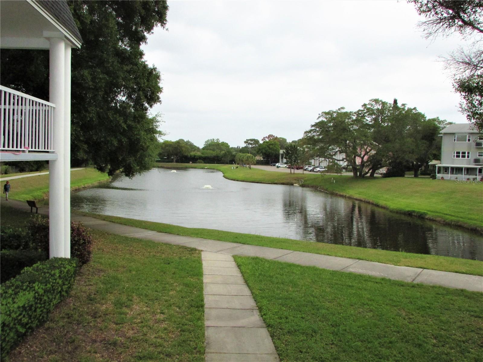 Walk around the pond for exercise.