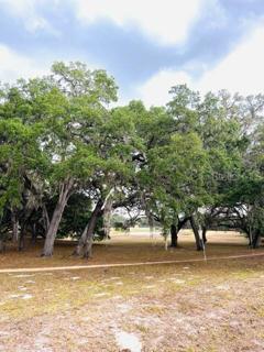 Walking Trails