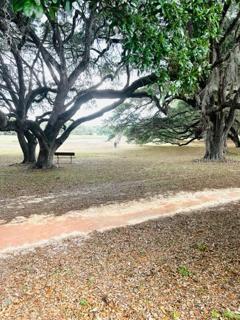 Shady Trails with Benches near the lake