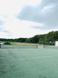 Two Tennis Courts