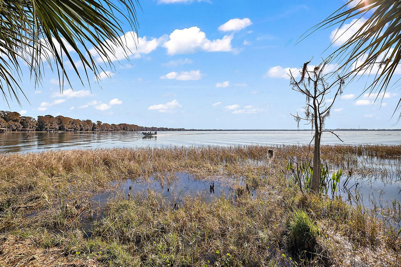 Lake Area Behind Home
