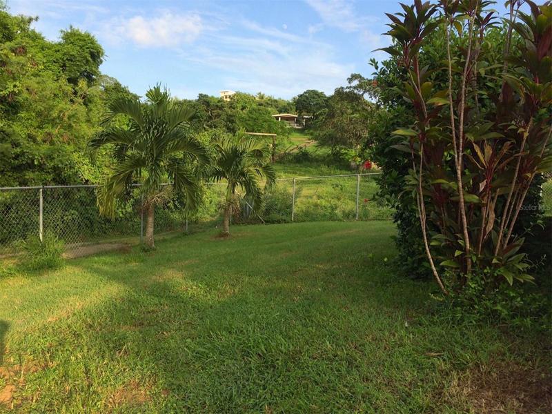 Front Yard