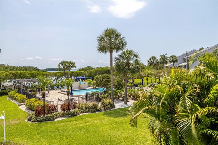 Pool view from the living room and the lushly landscaped yard