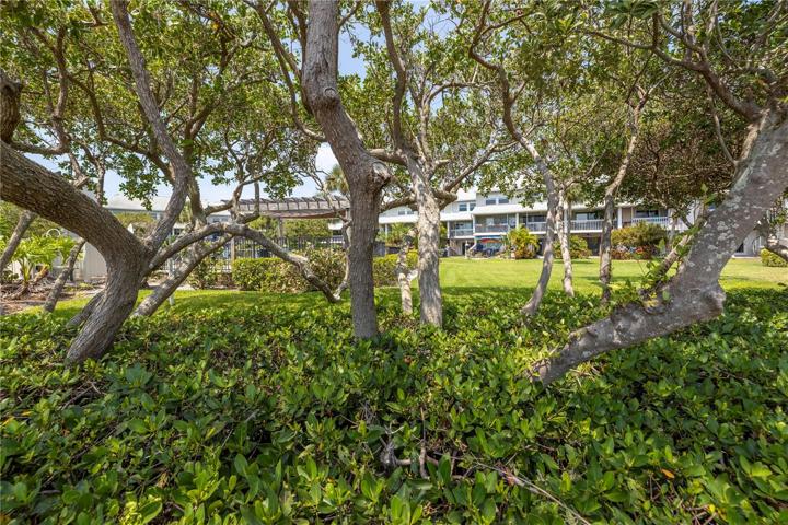 Pirates Cove has a shoreline of mangroves