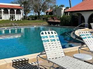 Beautiful Pool
