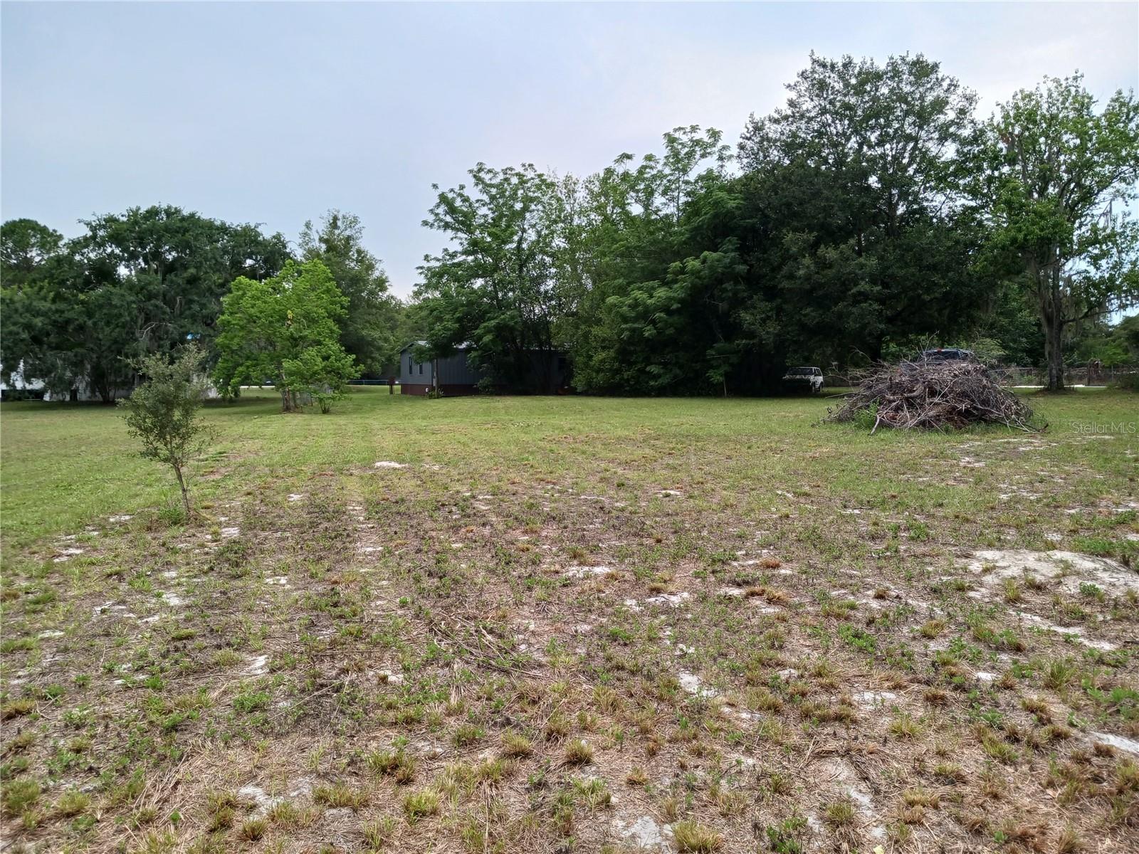 1 acre back yard