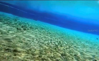 Underwater View of Rainbow River.