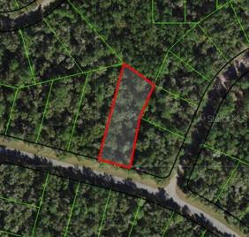 Aerial with lot lines