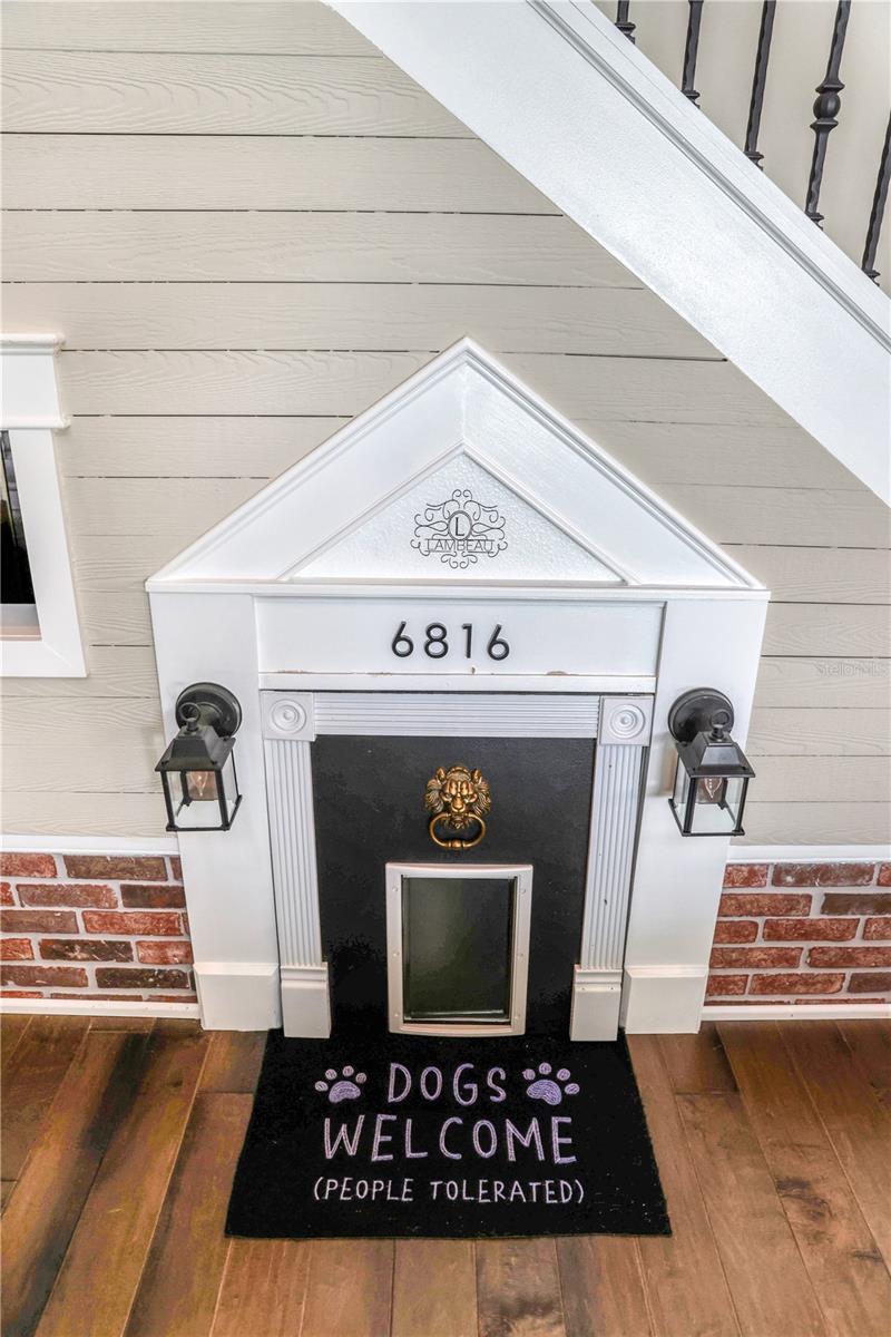 Custom Doggy Oasis