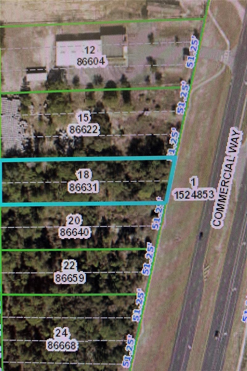 Weeki Wachee, Florida 34613, 0 , 0 ,0,Land,For Sale,COMMERCIAL,0,W7854378