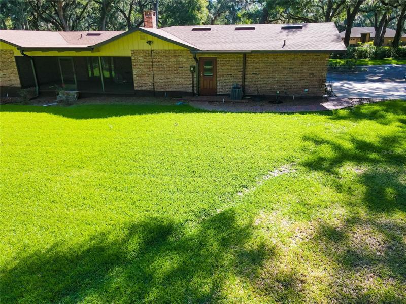 Back yard