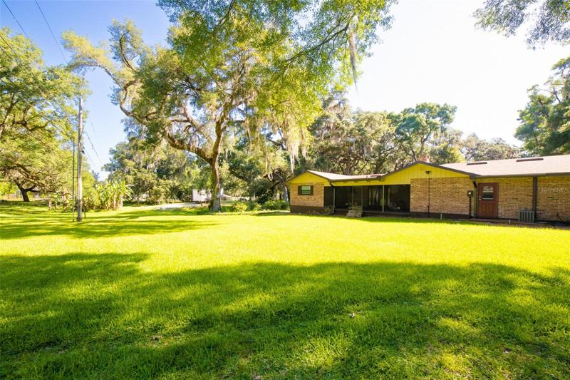 Back yard