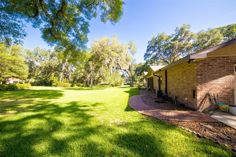 Back yard