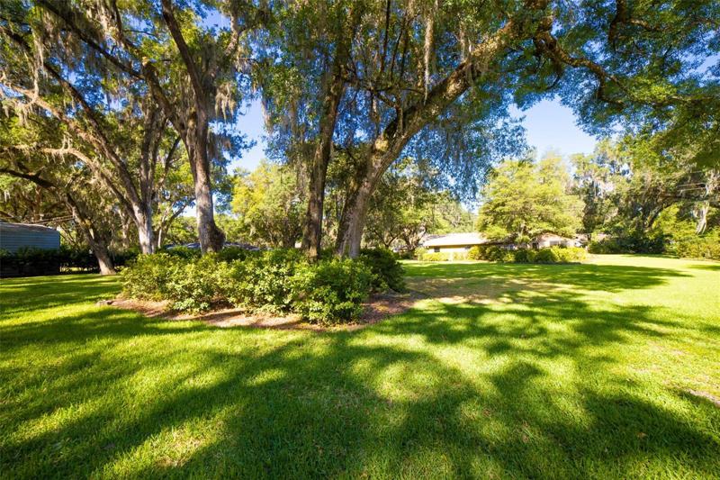 Back yard