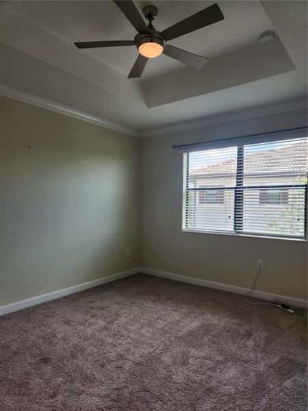 master bdr-tray ceiling 
