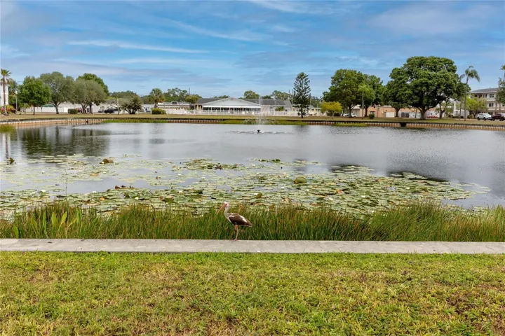 Beautiful Pond with walking trail