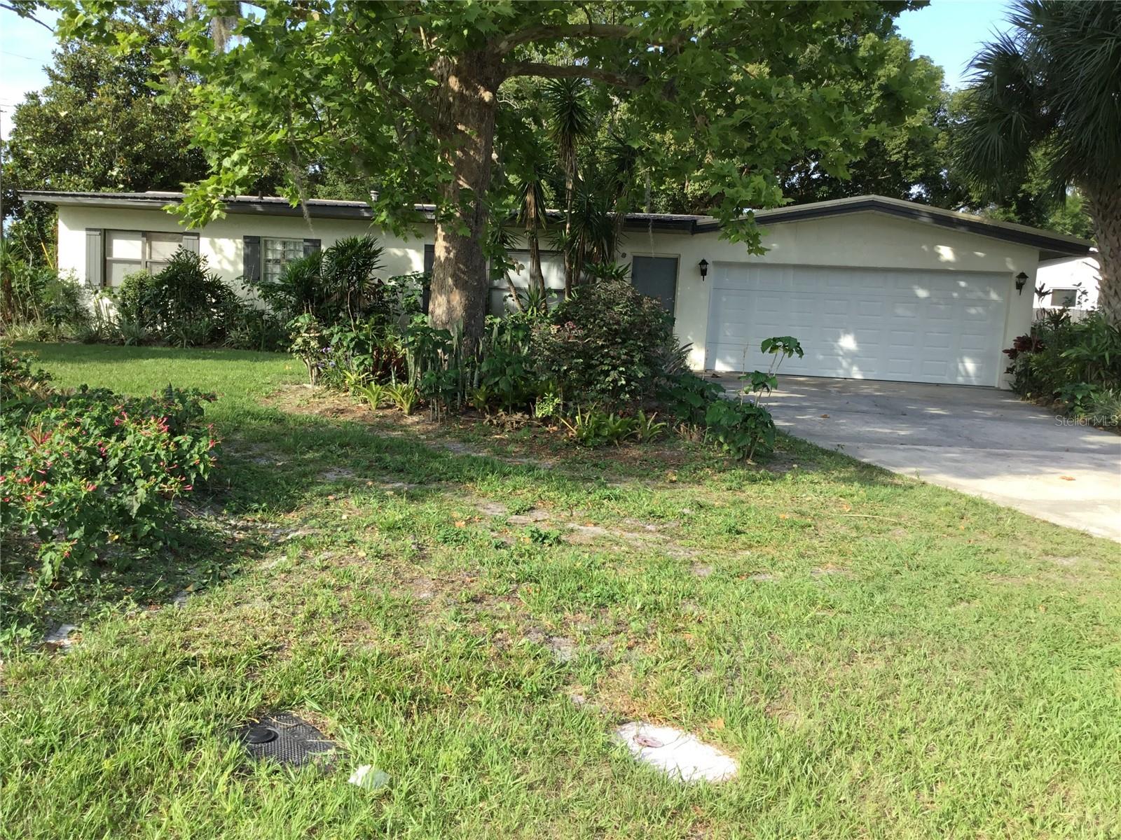 FRONT YARD
