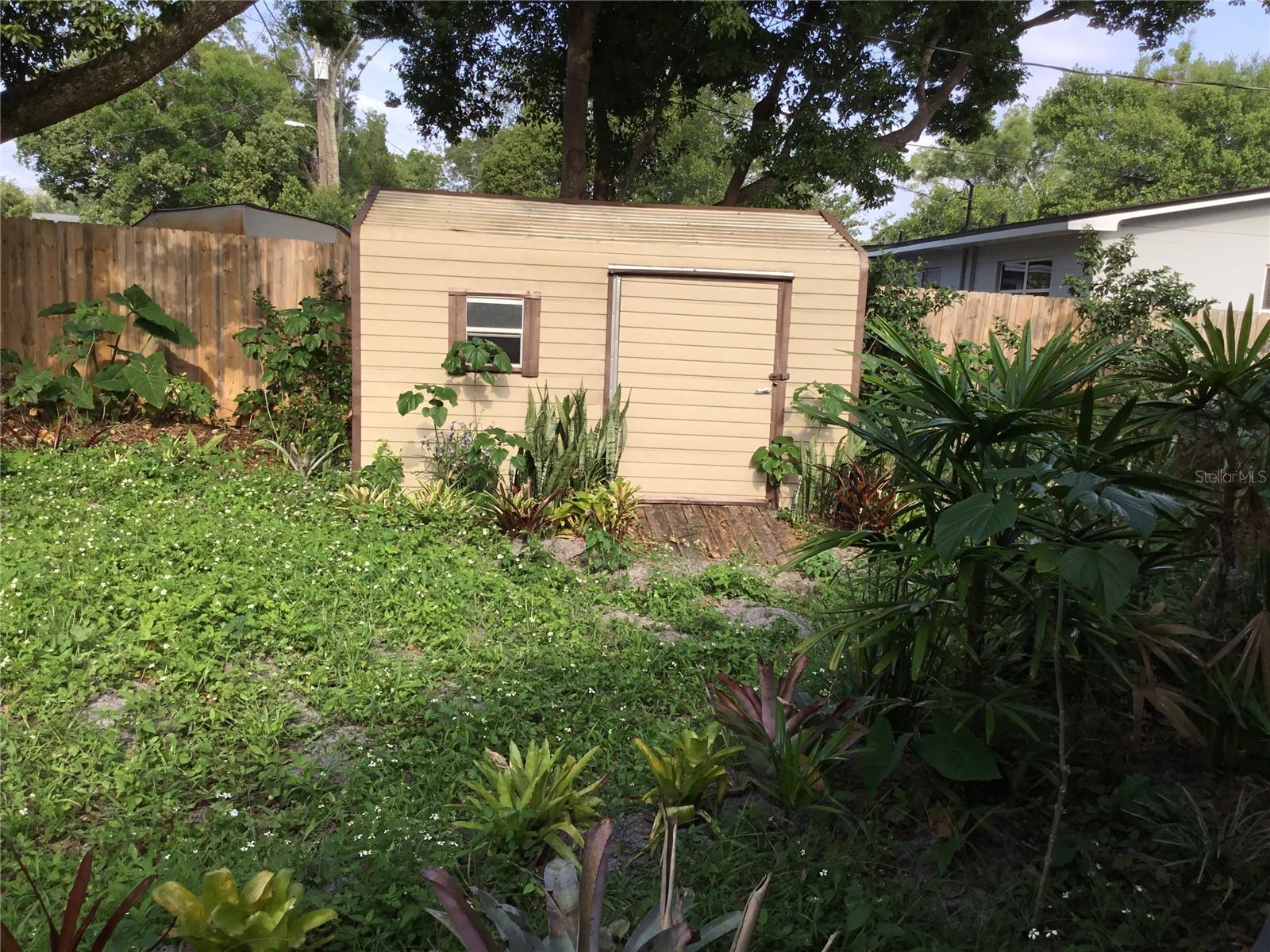 BACK YARD