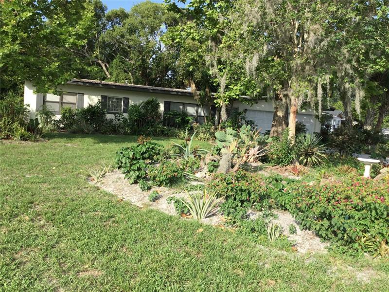 FRONT YARD