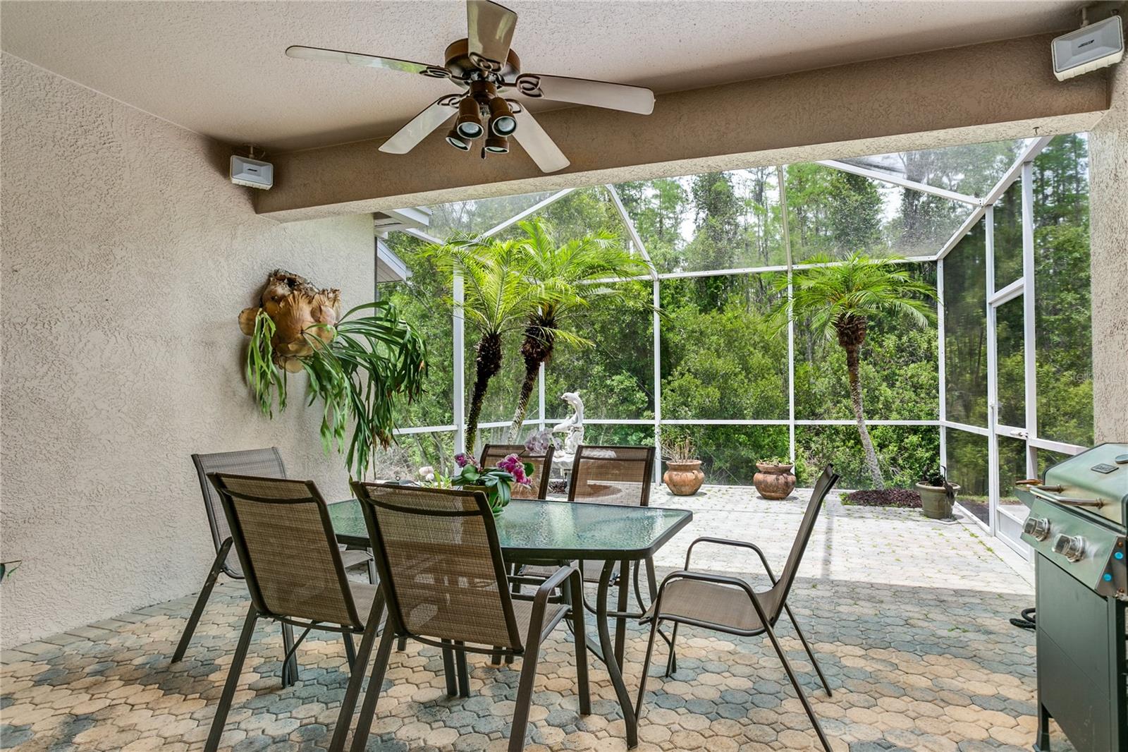 Covered lanai
