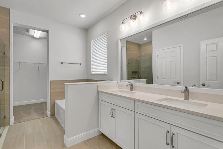 Owner's Bath