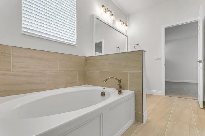 Owner's Bath