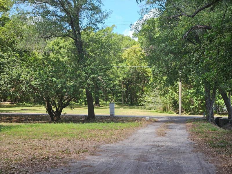 Front Yard