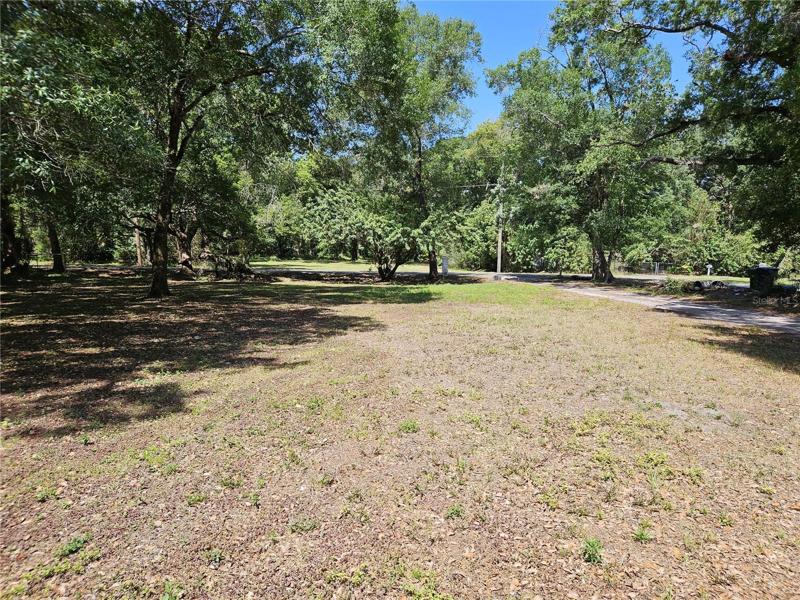 Front Yard