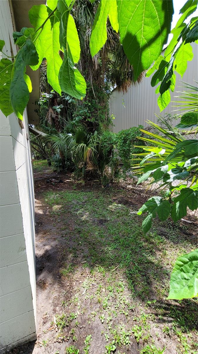 property rear