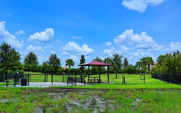Playground & Dog Park