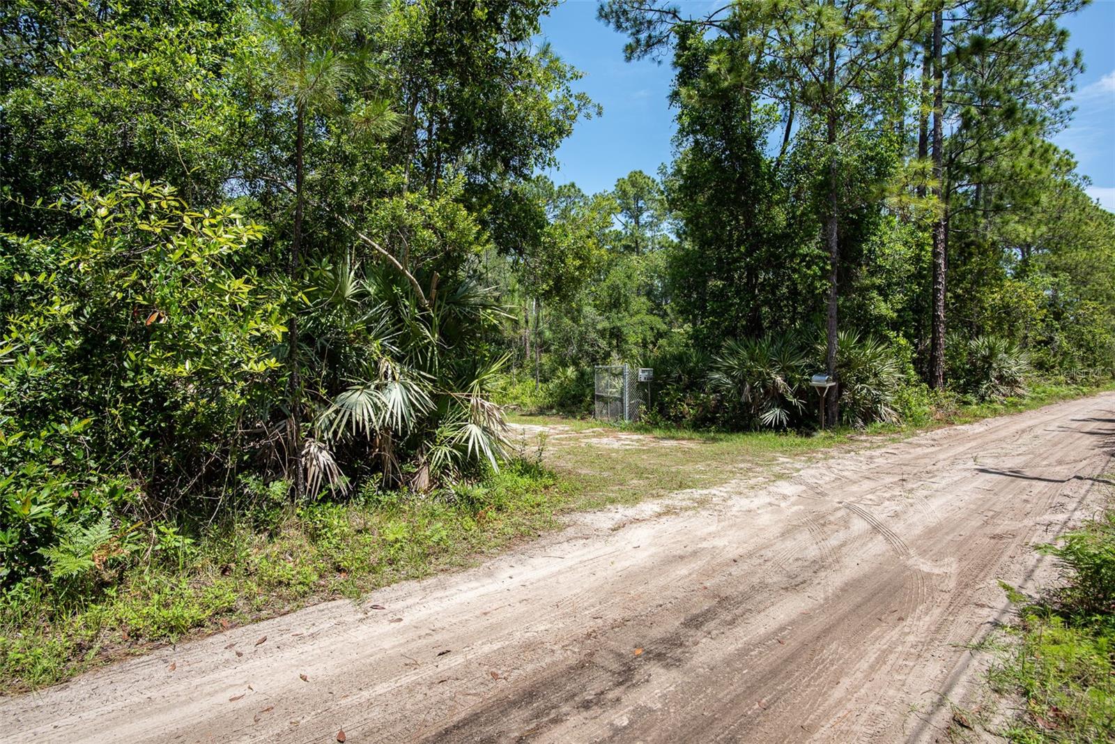 Tranquil dirt path leading to property