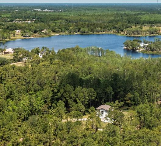 Lake view