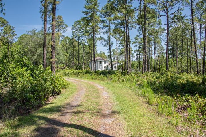 Path leading to the house
