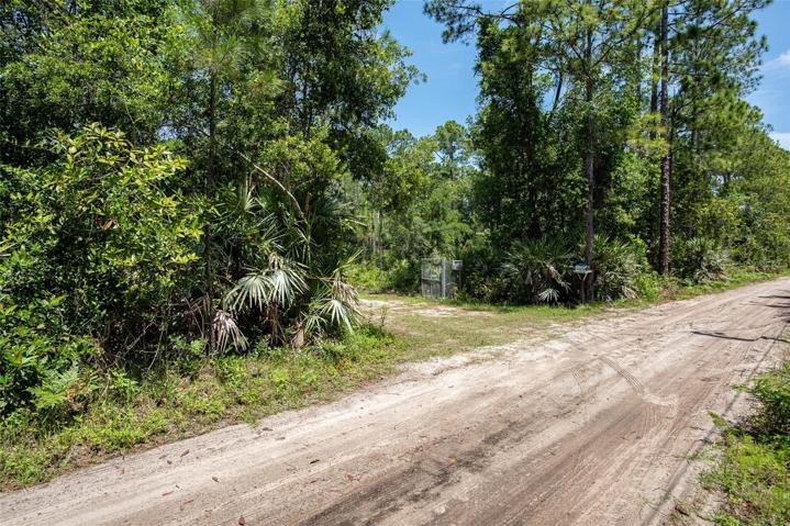 Tranquil dirt path leading to property