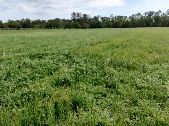 Hay Crop