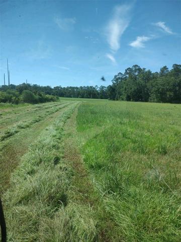Hay Crop