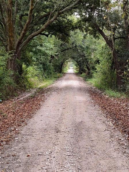 Main road