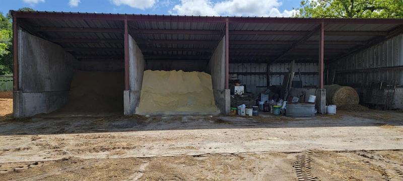 Feed storage