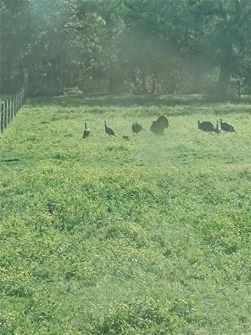 Pasture