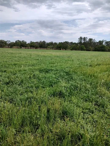 Hay Crop