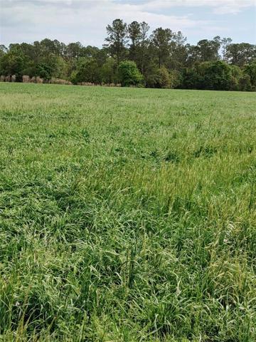 Hay Crop