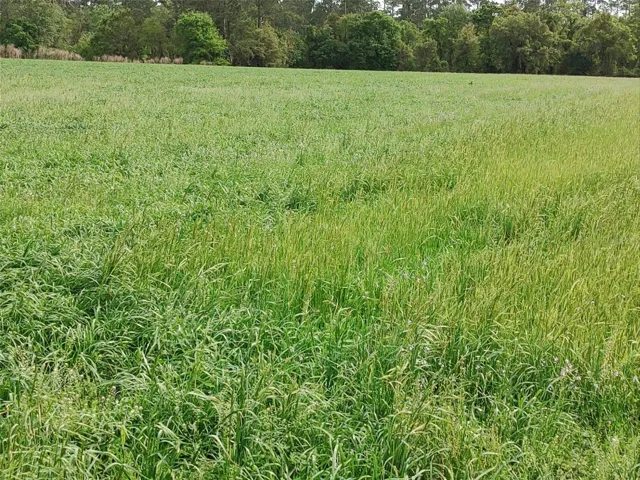 Hay Crop