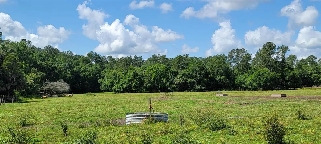 Pasture