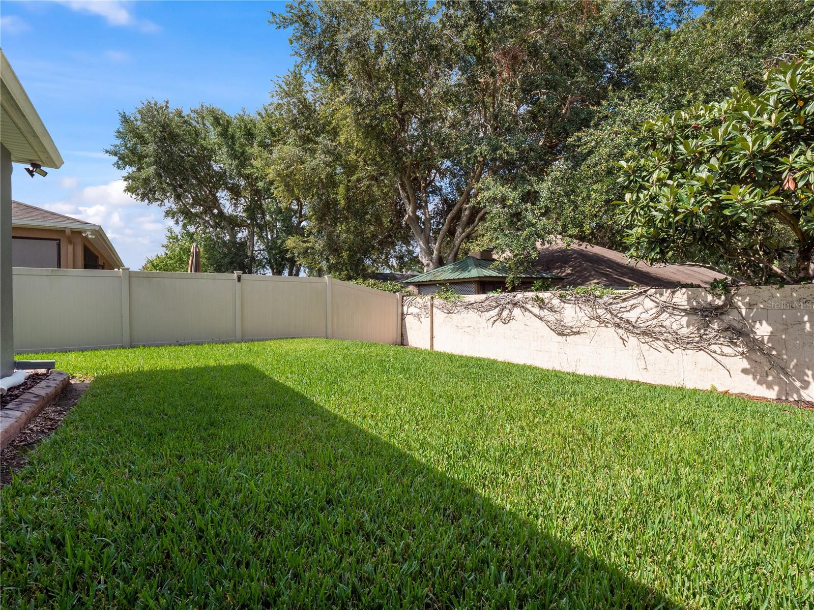 Spacious Back Yard