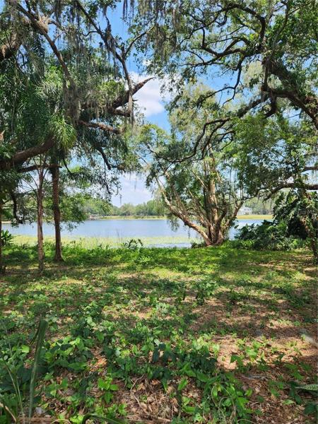 Lake view